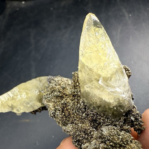Golden Calcite Crystals on Chalcopyrite Pyrite Matrix / Missouri - Picture 3 of 24