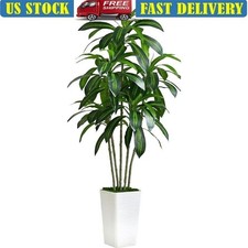 Artificial Dracaena Tree Faux Silk Plant Tall White Planter Home Office Decor US