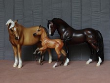 Breyer Trad. 