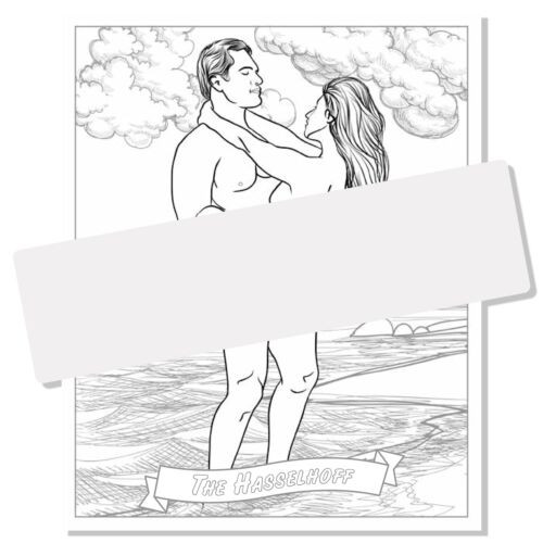 Sex Position Coloring Book: Playtime for Couples Hollan Publishing, Editors Of - Picture 3 of 5