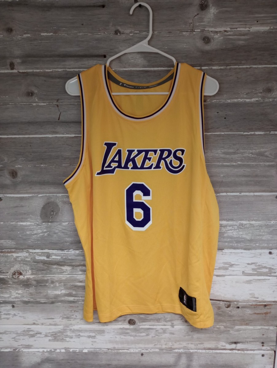 lebron james fanatics jersey