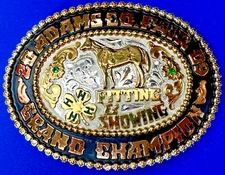 Grand Champion Trophy 2009 Adams CoFair Fitting & Showtime 4H Award Belt Buckle