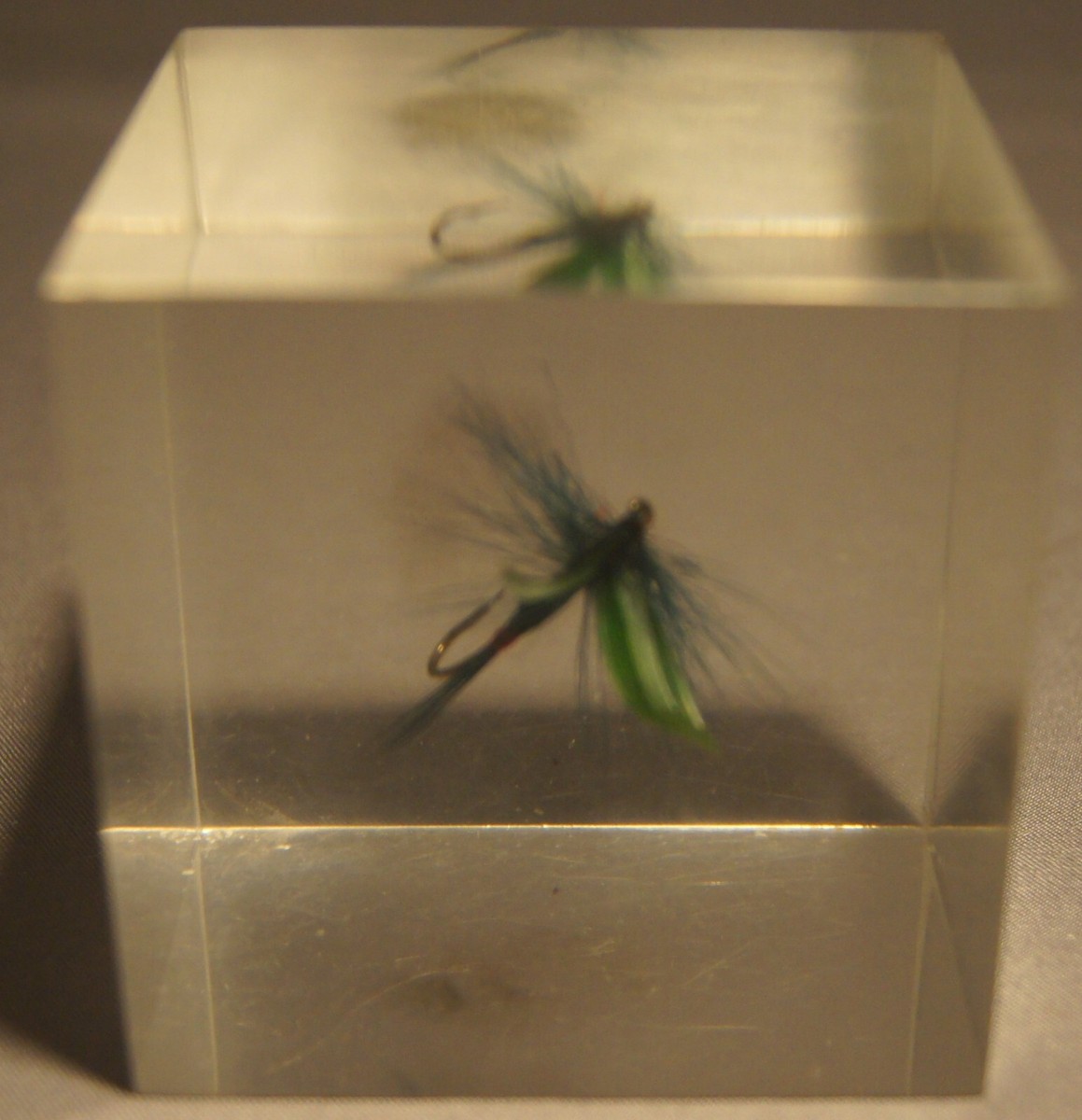 FLY ENCLOSED IN AN ACRYLIC BLOCK | eBay