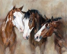 Three American Paint Horses art print. Free Shipping  0078