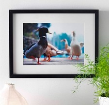 Ikea Ribba Frame for sale - eBay