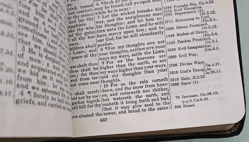 bb kirkbride THE THOMPSON CHAIN REFERENCE BIBLE red letter edition fourth 1964 - Picture 6 of 7