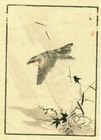 Foto 2 di 9