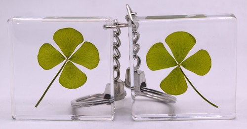 48 mm echtes vierblättriges Kleeblatt Kleeblatt im Schlüsselanhänger Glücksblatt innen klar Plexiglas - Bild 8 von 9