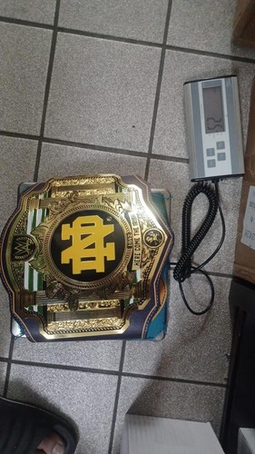 Notre Dame Fight IRISH Wrestling Title Championship Replica 2mm Belt Adult Size - Picture 11 of 11