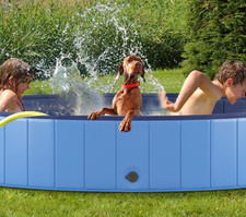 Dog Pool for Large Dogs 63" Portable Hard Plastic Pet Bathing Tub Swimming Pool