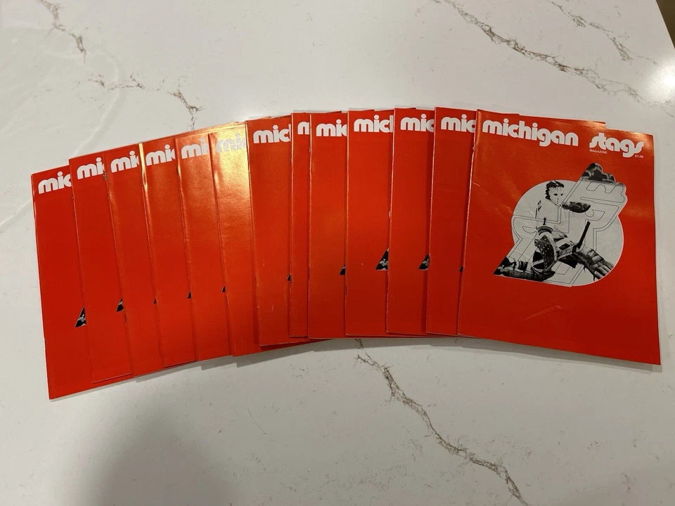 WHA MICHIGAN STAGS vs NEW ENGLAND WHALERS 11-17-74 Program TED GREEN NICK FOTIU - Image 2 of 4