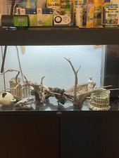 Juwel Rio 120 Aquarium mit Unterschrank und Zubehör