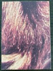 Bild 92 von 202