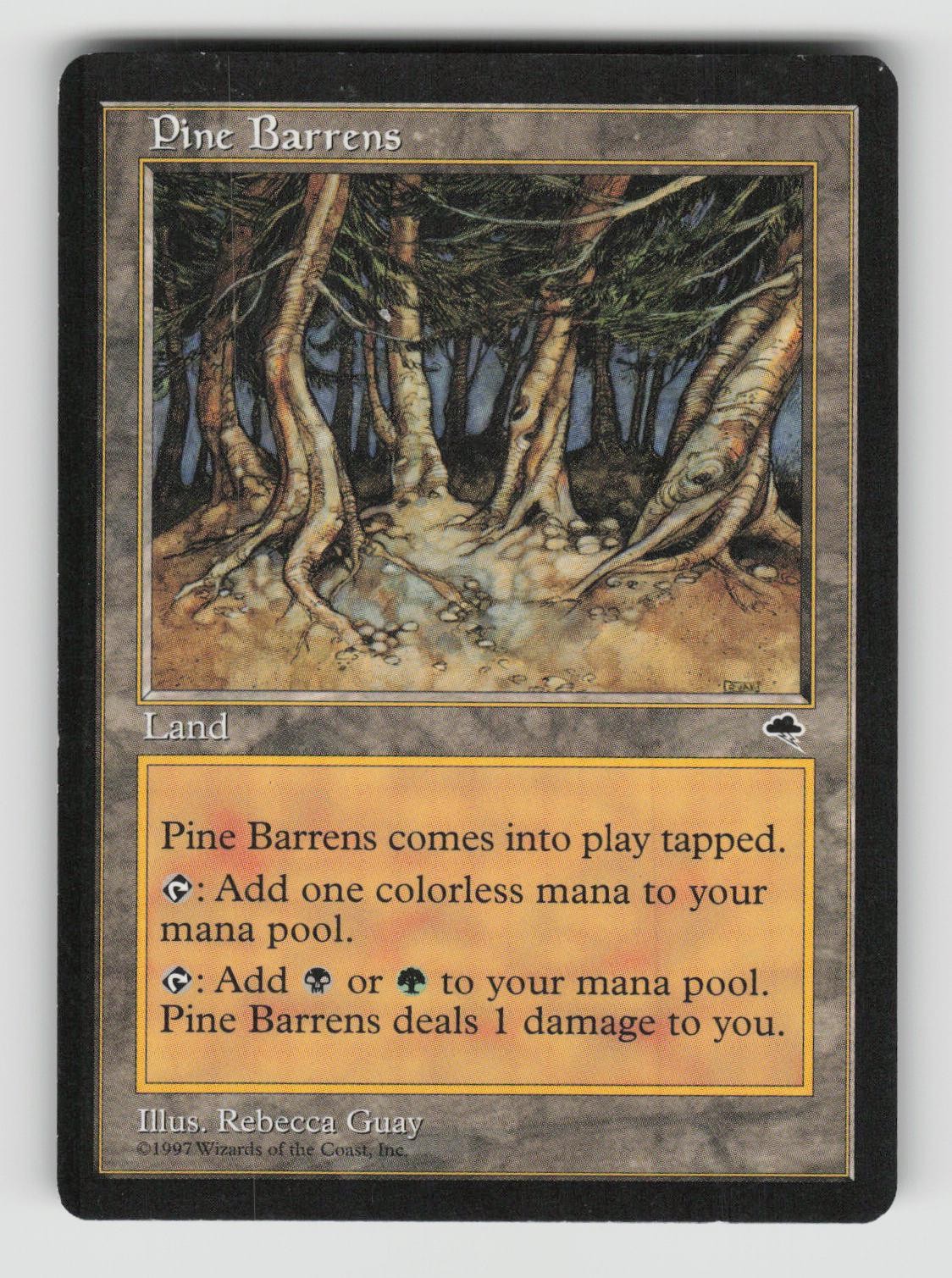 Pine Barrens 321 Rare Tempest Magic: The Gathering Lightly Played