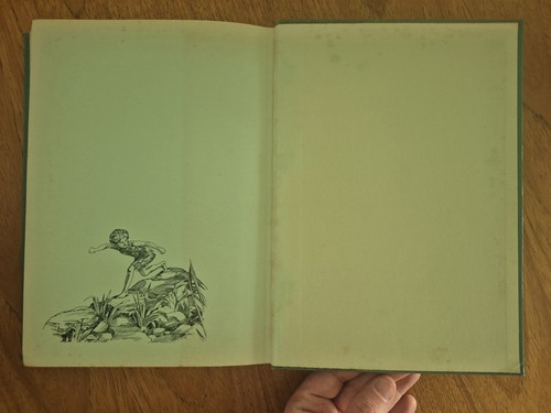 Stunning Antiquarian Illustrated: Peter & Wendy, J. M. Barrie (~1925-35) - Afbeelding 10 van 11