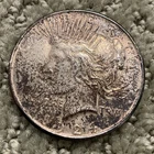 1924 Peace Silver Dollar-With some discoloration