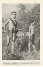 ABOR JUNGLE NATIVE ORCHID HUNTER PARADISE c1920 PHOTO ILLUSTRATION PRINT PICTURE
