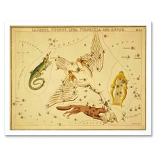 Painting Drawing Star Map Swan Fox Lyre Constellation 12X16 Inch Framed Print