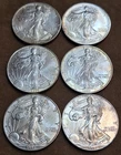 Lot of 6 American Silver Eagle 1992, 1995, 1996 ,1997, 1999 1oz .999 Fine Silver