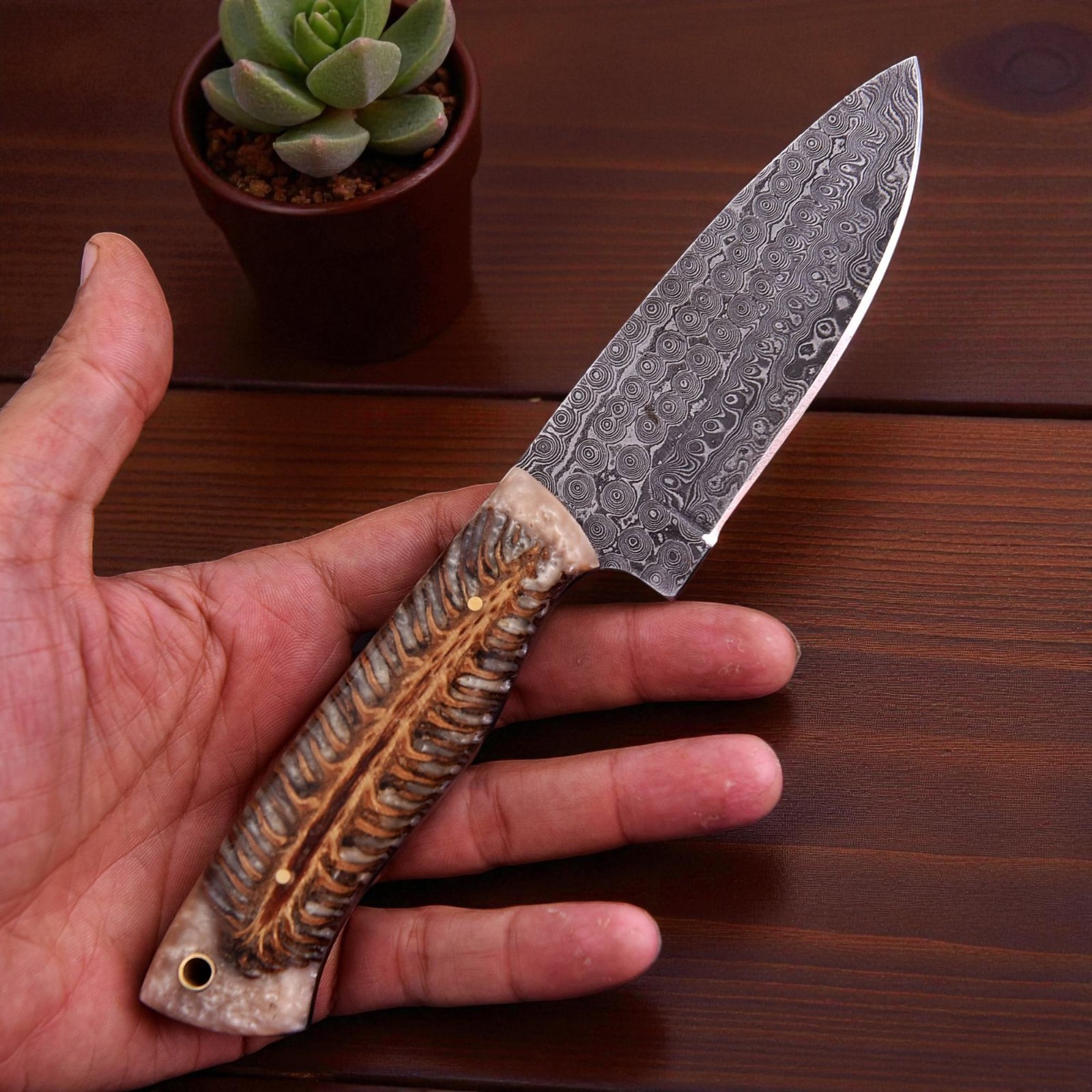 Custom HandMade Forged Damascus Steel Hunting Survival Knife PineCone Resin 2934