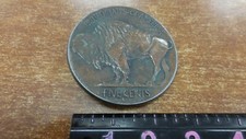 Vintage Buffalo Nickle Five Cents Belt Belt Buckle