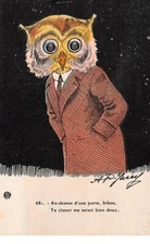 Animals - No. 63698 - Dressed Owl - Above A Door, Owl, Nail It