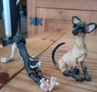 Two Kool Katz cat characters one black & white cat one Siamese Cat.