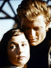 Celia Kaye and Michael Parks in a scene from the film Wild Seed 1965 Old Photo