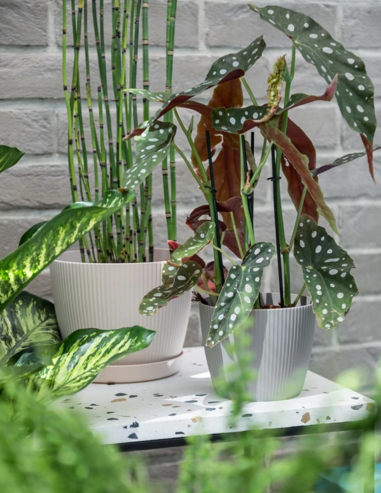 Blumentopf Übertopf Rund Pflanztopf 6 Farben 7 Größen Neuheit sehr DEKORATIV SET - Bild 4 von 4