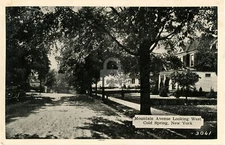 MOUNTAIN AVENUE LOOKING WEST Cold Spring, New York NY Postcard Copy