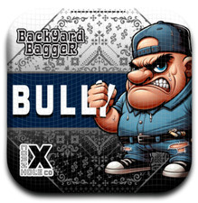 CORNHOLE BAGS PRO SLIDE / STICK