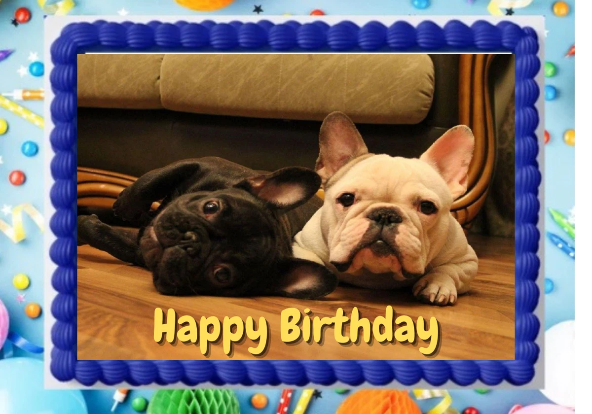 Cake top french bulldog
