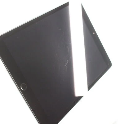 Apple iPad (9th generation) · 256GB · Wi-Fi