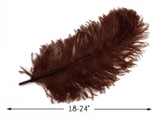 10 Wing 18- 24" Brown Huge Ostrich Plumes Centerpiece Feathers Costume Halloween