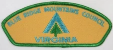 Blue Ridge Mountains Council Roanoke, VA CSP SAP green brdr yllw bkg