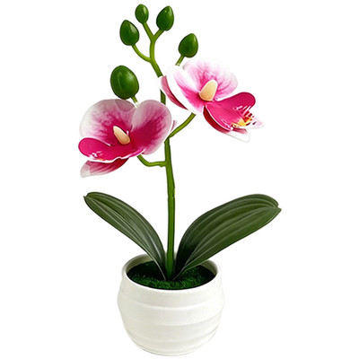Künstliche Phalaenopsis Orchidee auf Tischplatte 18,5 cm für kleines Raumgeste