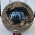 Bild 8 von 18