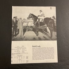 BALD EAGLE 8 X 10 photo Horse  Racing 1960 CHAMPION  NASRULLAH