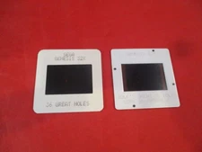 Lot of 2- 36 Great Holes Sega 32X CES Promo + "Work In Progress" Prototype Slide