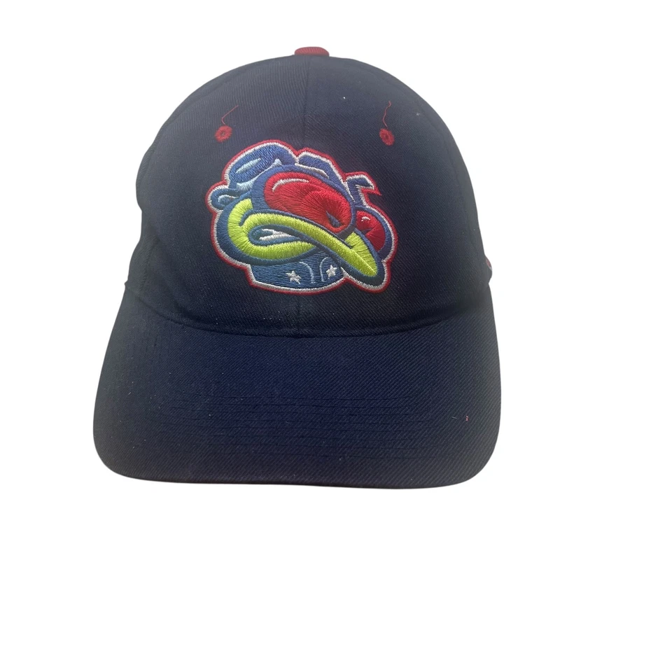 VTG Columbus Blue Jackets Hat Zephyr NHL GRAFX Navy Red  Logo Wool Blend - Image 2 of 4