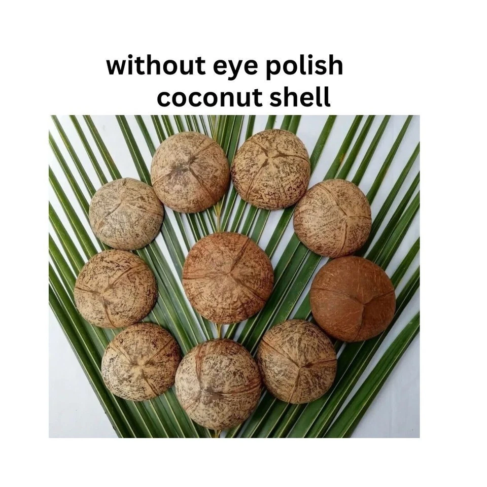 15 половинок кокосовой скорлупы экологически чистая цейлонская 100% натуральная чистая кокосовая скорлупа - Изображение 2 из 4