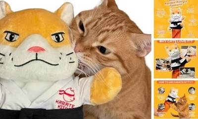 KARATE KITTY Cat Wrestling Glove & Puppet Toy with Protective Arm Sleeve  