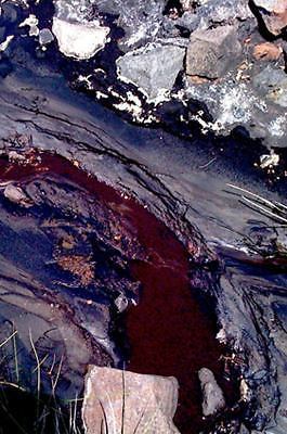 On Active Grounds: Agency and Time in the Environmental Humanities -