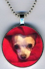 Personalized Custom Pet Dog Cat Color Photo Round Pendant Necklace w/24" Chain