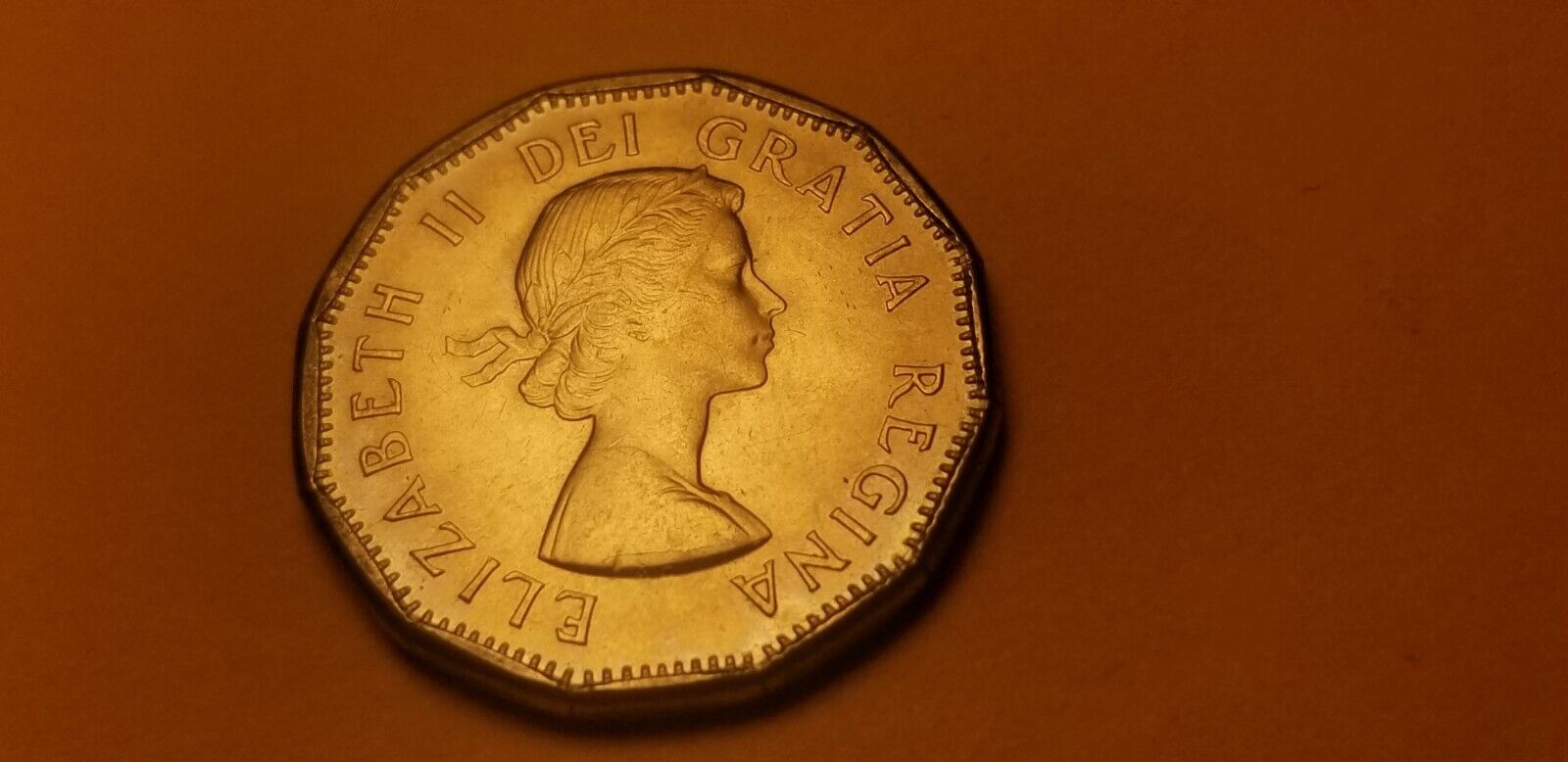 Picture 4 of 4