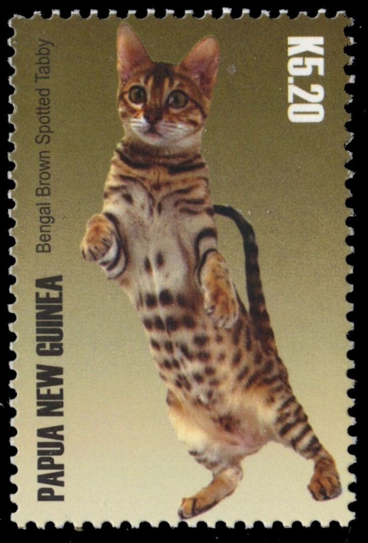 PAPUA NEW GUINEA 1199 Cat Breeds 