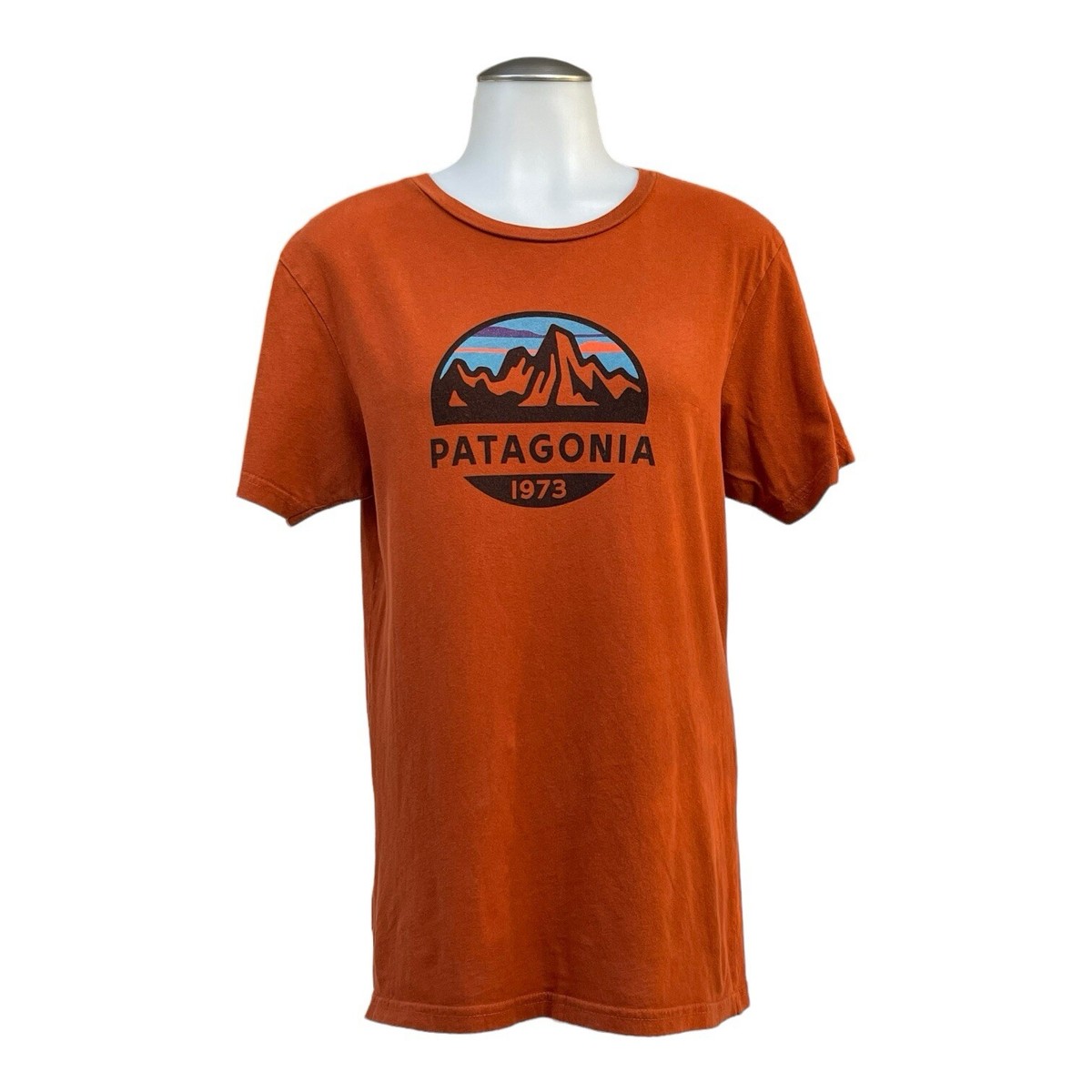 トップス 90s Patagonia organic cotton Vintage 90s PATAGONIA Womens S Slim Fit T Shirt Short Sleeve