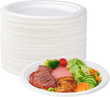 Compostable 10 Inch Heavy Duty Paper Plates 150 Pack Sugarcane Disposable White