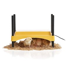 Ecoglow Safety 600 Chick or Duckling Brooder, Adjustable Height  Angle Brood...