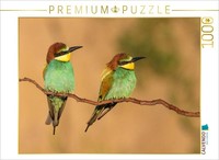 Calvendo Puzzle Bienenfresser-PäRchen | 1000 Teile Lege-GrößE 64 × 48 Cm Foto-Pu